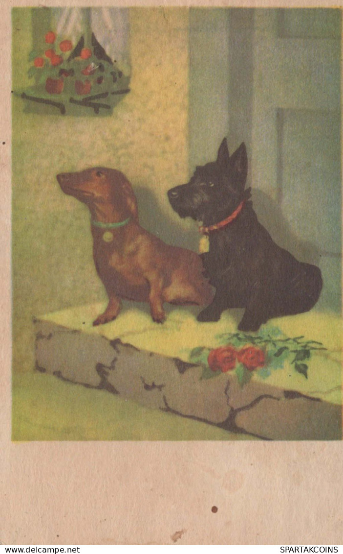 HUND Tier Vintage Ansichtskarte Postkarte CPA #PKE794.DE - Chiens