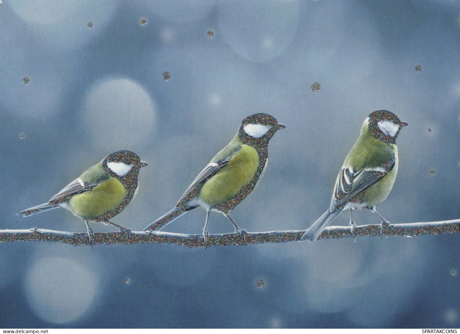 VOGEL Tier Vintage Ansichtskarte Postkarte CPSM #PBR736.DE - Birds