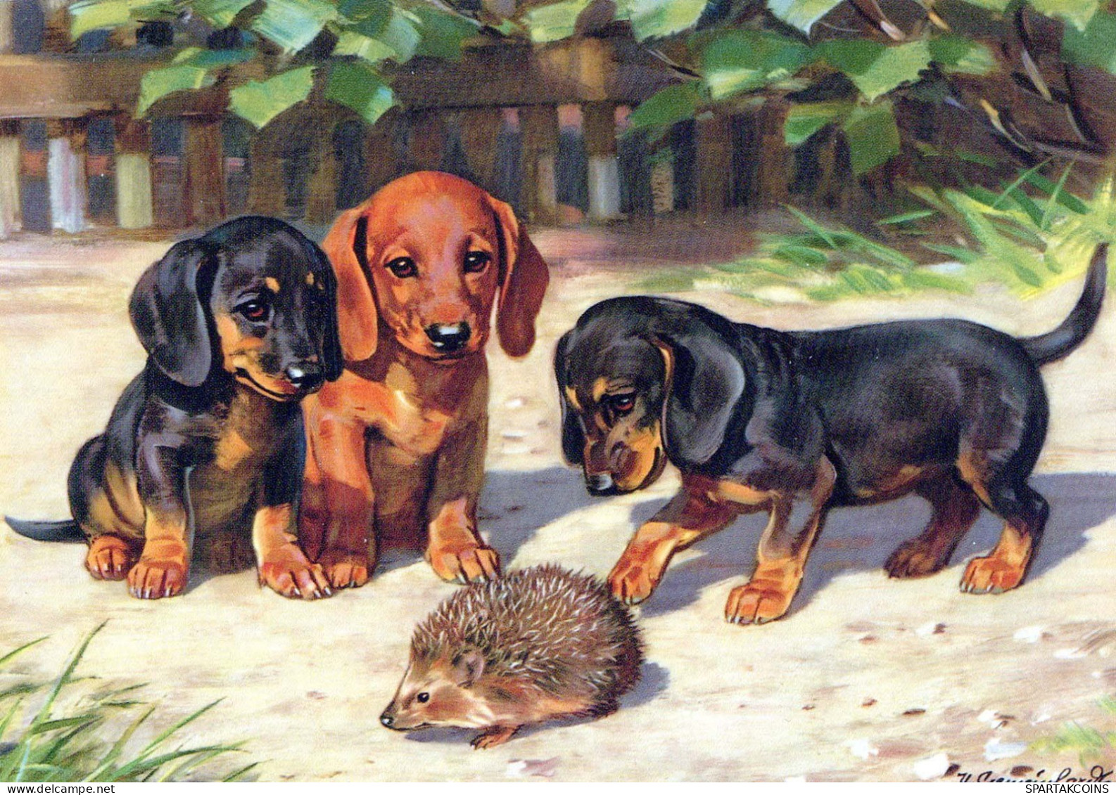 HUND Tier Vintage Ansichtskarte Postkarte CPSM #PBQ365.DE - Dogs