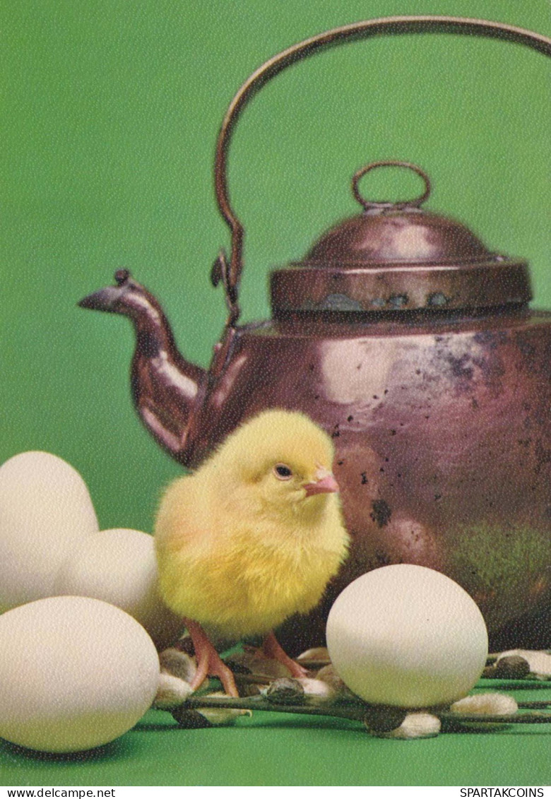 OSTERN HUHN EI Vintage Ansichtskarte Postkarte CPSM #PBP100.DE - Easter