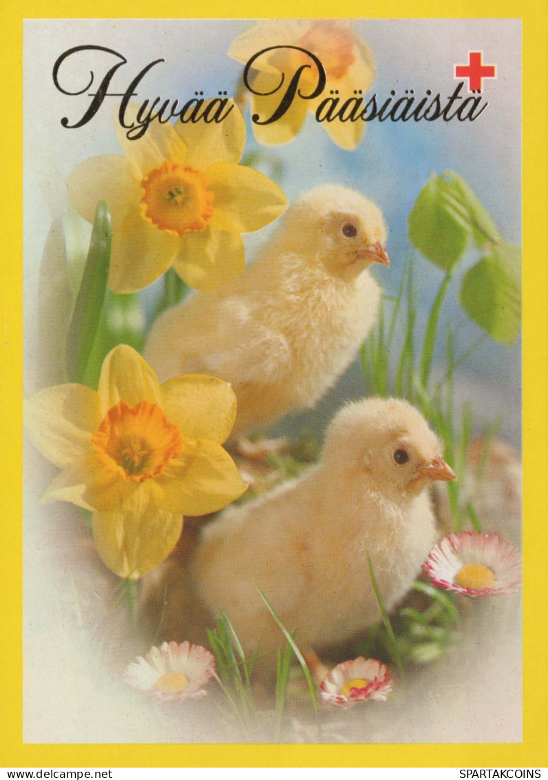 OSTERN HUHN EI Vintage Ansichtskarte Postkarte CPSM #PBO660.DE - Easter