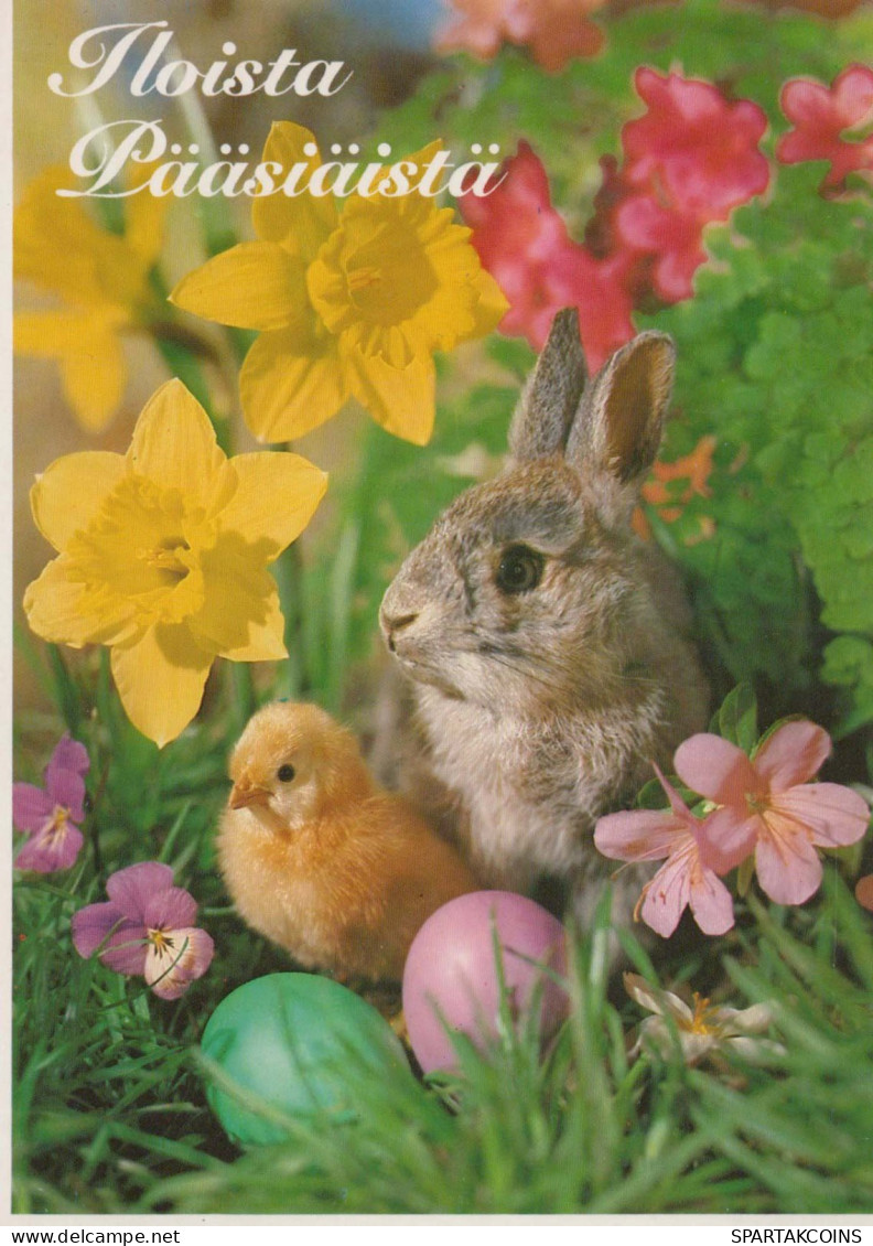 OSTERN KANINCHEN EI Vintage Ansichtskarte Postkarte CPSM #PBO407.DE - Easter