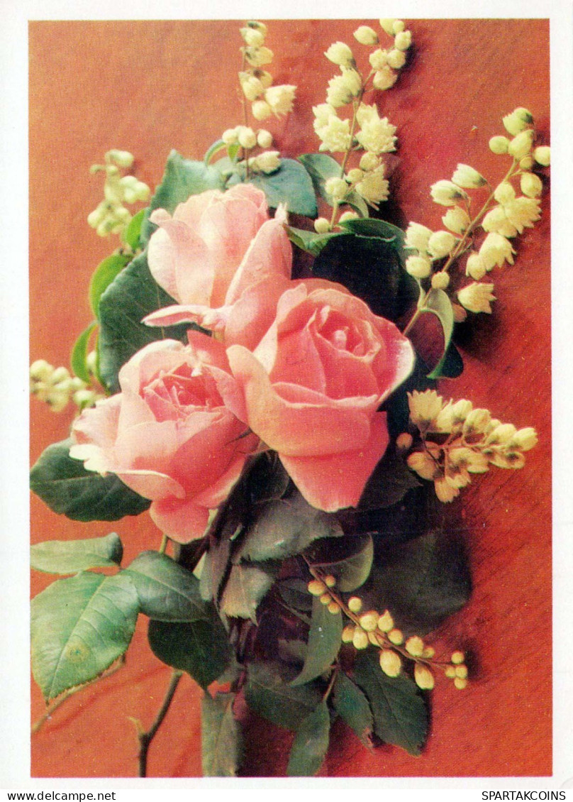 FLOWERS Vintage Ansichtskarte Postkarte CPSM #PAR425.DE - Blumen