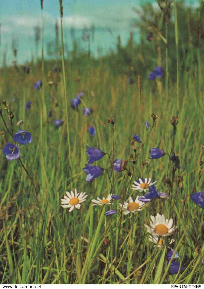 FLOWERS Vintage Ansichtskarte Postkarte CPSM #PAR244.DE - Flowers