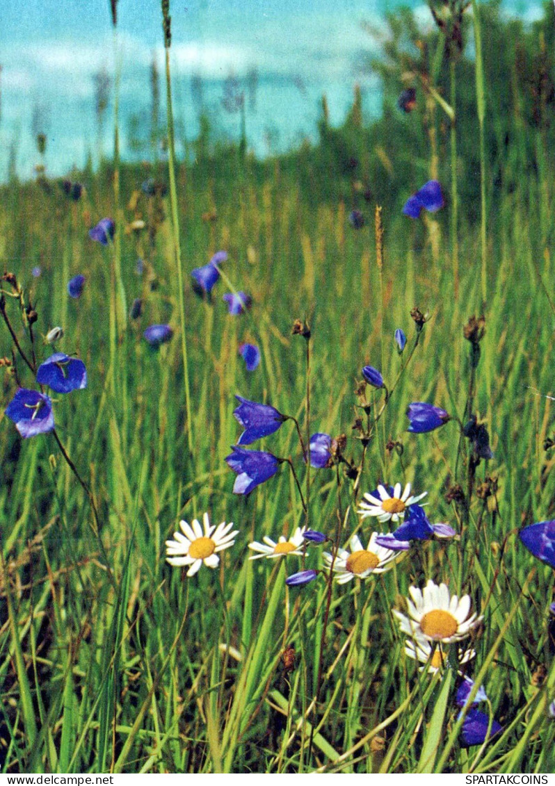 FLOWERS Vintage Ansichtskarte Postkarte CPSM #PAR244.DE - Flowers