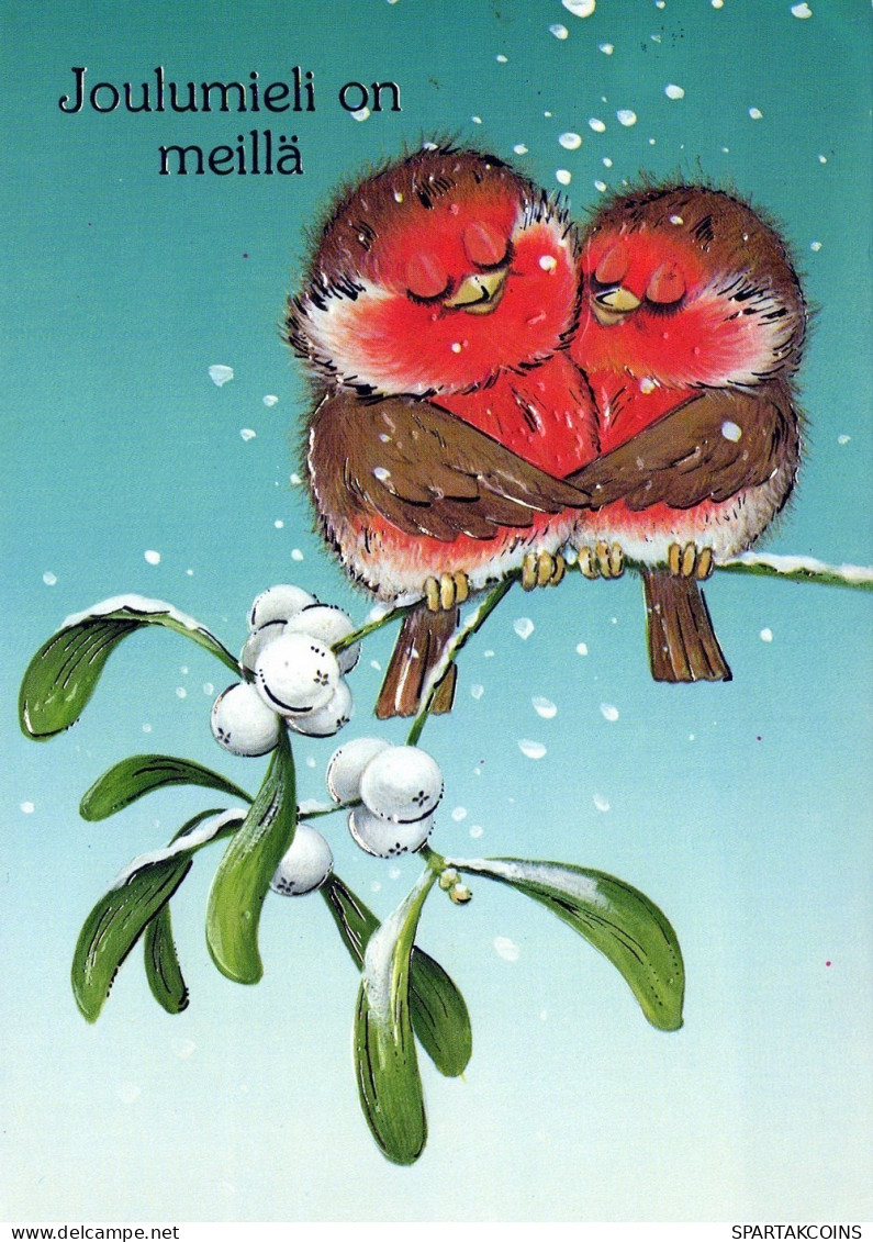 VOGEL Tier Vintage Ansichtskarte Postkarte CPSM #PAM918.DE - Oiseaux