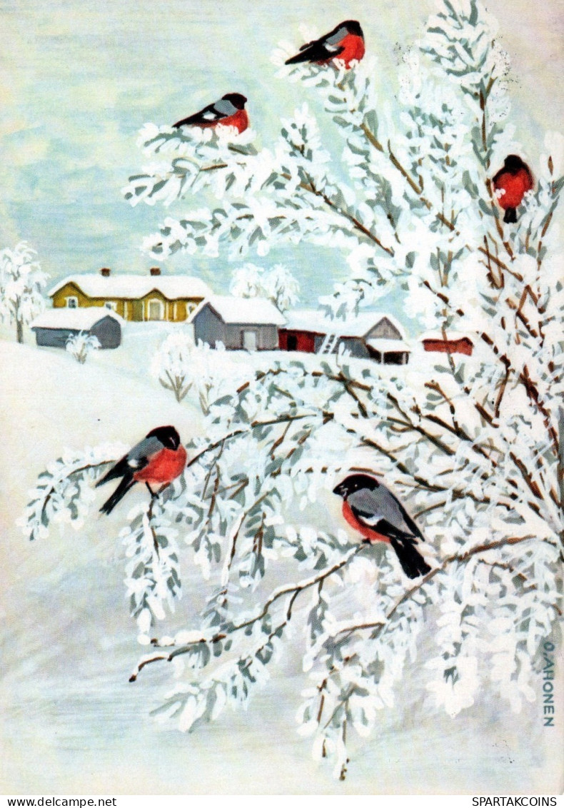 VOGEL Tier Vintage Ansichtskarte Postkarte CPSM #PAM794.DE - Birds