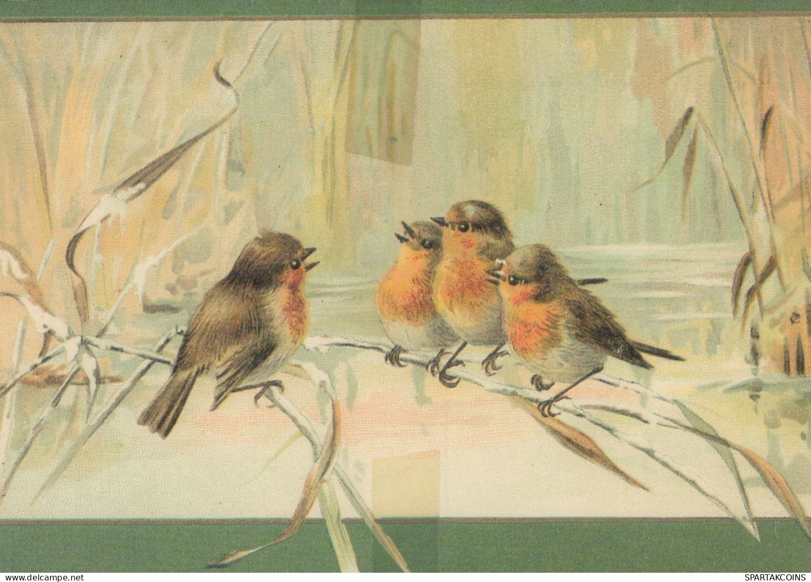 VOGEL Tier Vintage Ansichtskarte Postkarte CPSM #PAM734.DE - Vogels