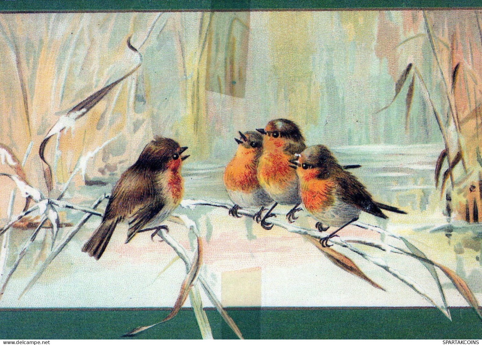 VOGEL Tier Vintage Ansichtskarte Postkarte CPSM #PAM734.DE - Birds