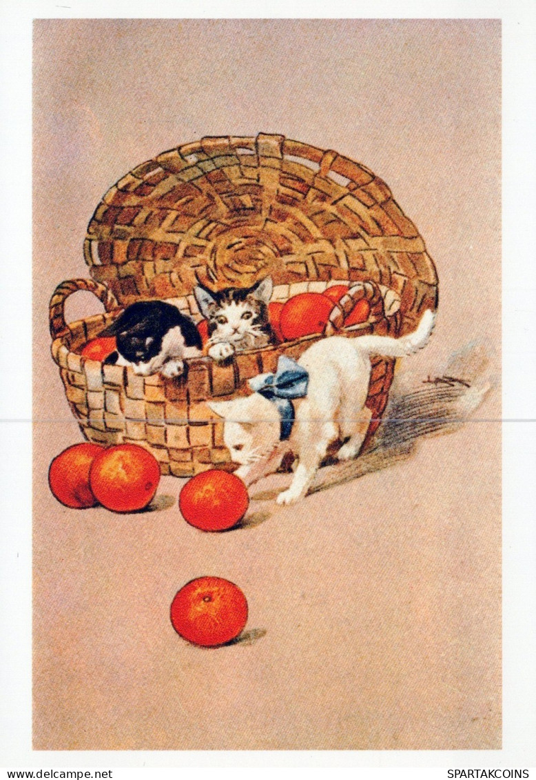 KATZE MIEZEKATZE Tier Vintage Ansichtskarte Postkarte CPSM Unposted #PAM288.DE - Cats