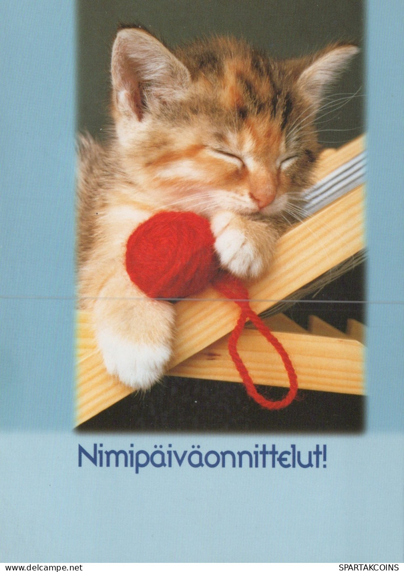 KATZE MIEZEKATZE Tier Vintage Ansichtskarte Postkarte CPSM #PAM166.DE - Katzen