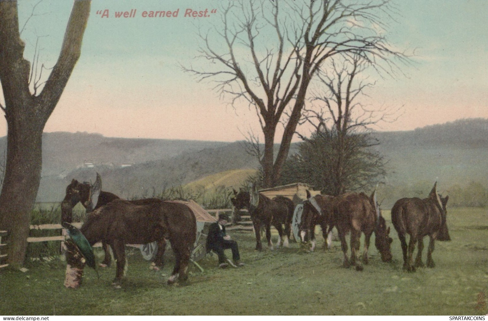 ESEL Tiere Vintage Antik Alt CPA Ansichtskarte Postkarte #PAA147.DE - Donkeys