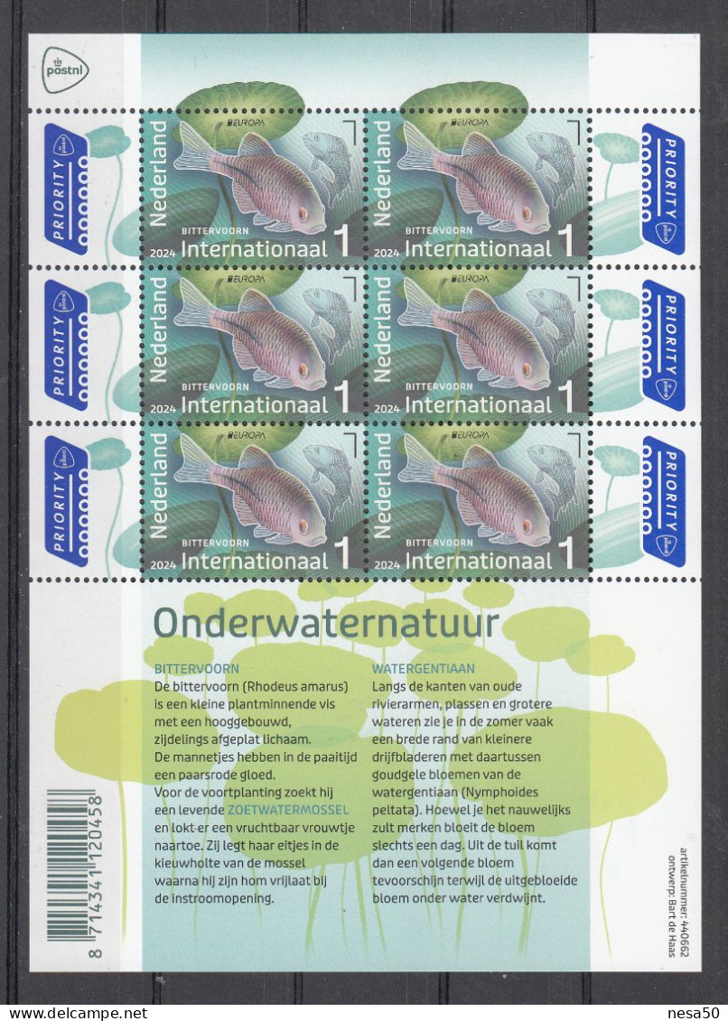 Nederland 2024 Nvph ?? Mi Nr ??, Onderwaternatuur Internationaal, Europa, Voorn + Watergentiaan, Roach + Water Gentian, - Unused Stamps