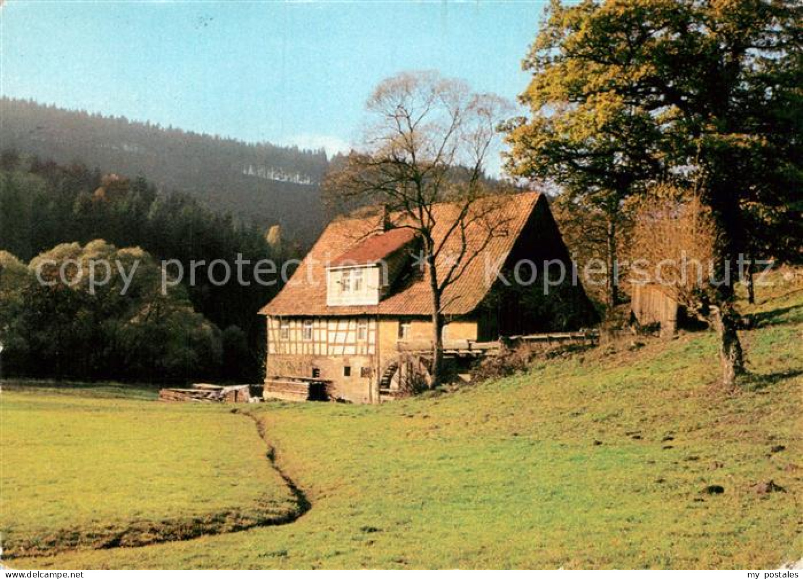 72935773 Tellerhammer Rote Muehle Tellerhammer - Sonstige & Ohne Zuordnung