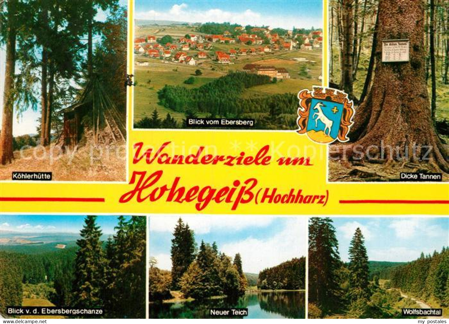 72935736 Hohegeiss Harz Koehlerhuette Panorama Blick Vom Ebersberg Dicke Tannen  - Other & Unclassified