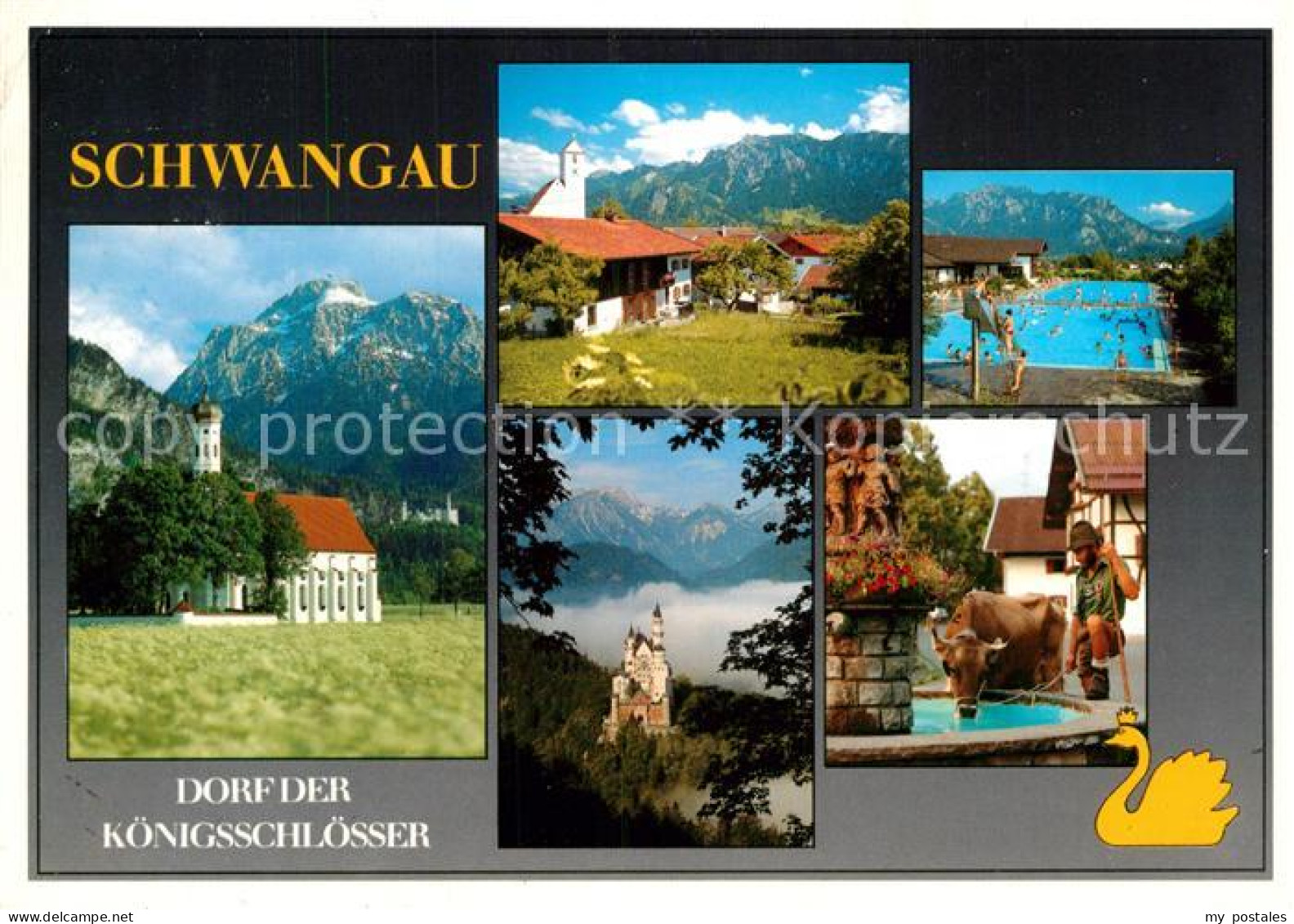 72935681 Schwangau Dorf Der Koenigsschloesser Kirche Schloss Neuschwanstein Alpe - Andere & Zonder Classificatie