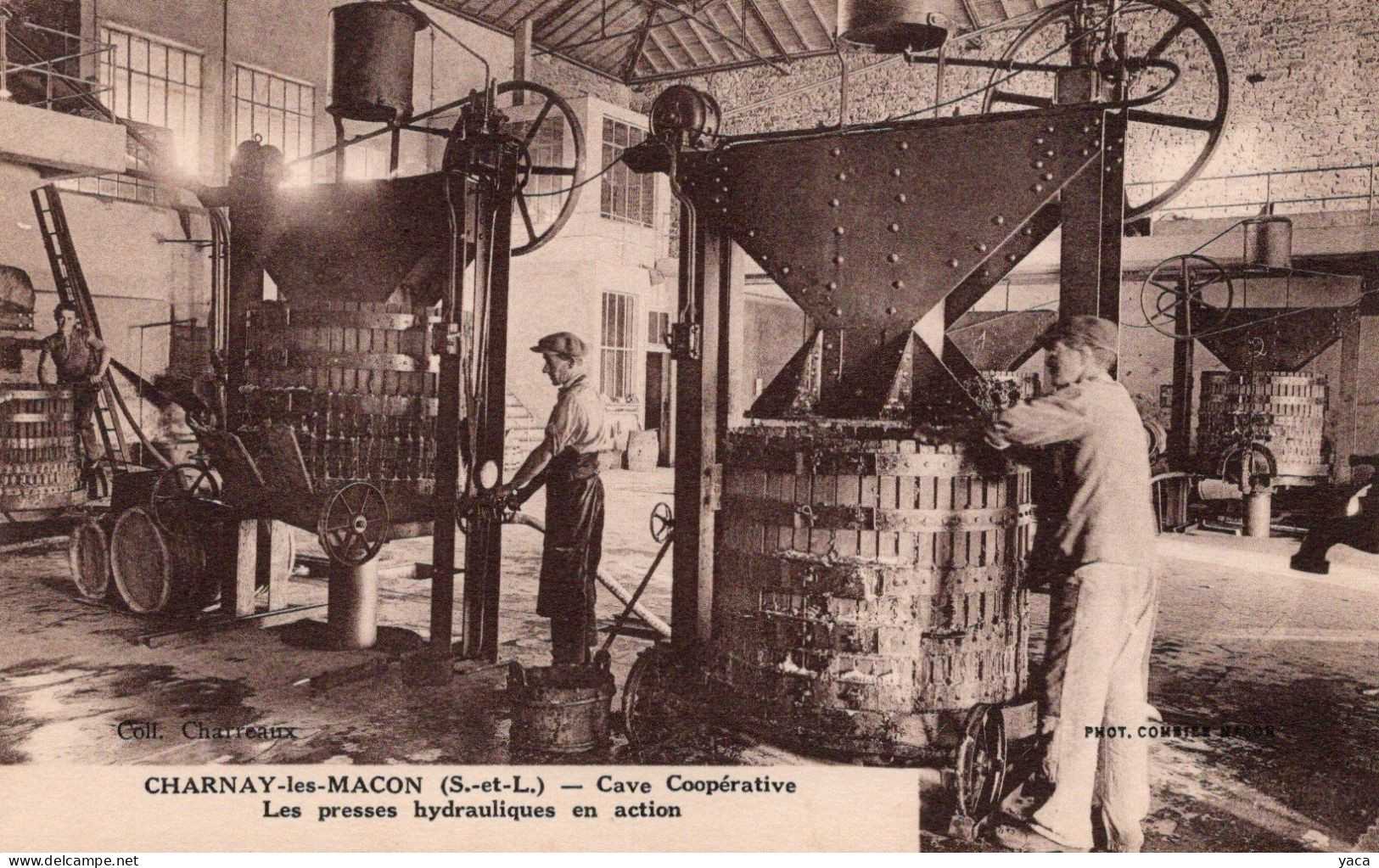 CHARNAY-LÈS-MÂCON Cave Coopérative. Les Presses Hydrauliques En Action. Édit. Charreaux - Other & Unclassified