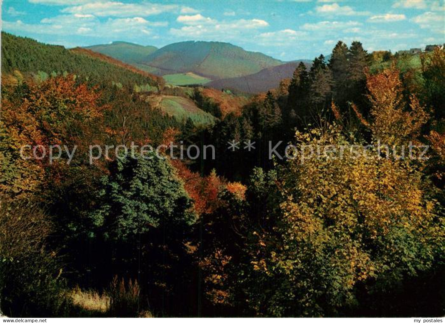 72935649 Winterberg Hochsauerland Panorama Blick Ins Helletal Und Orketal Herbst - Winterberg