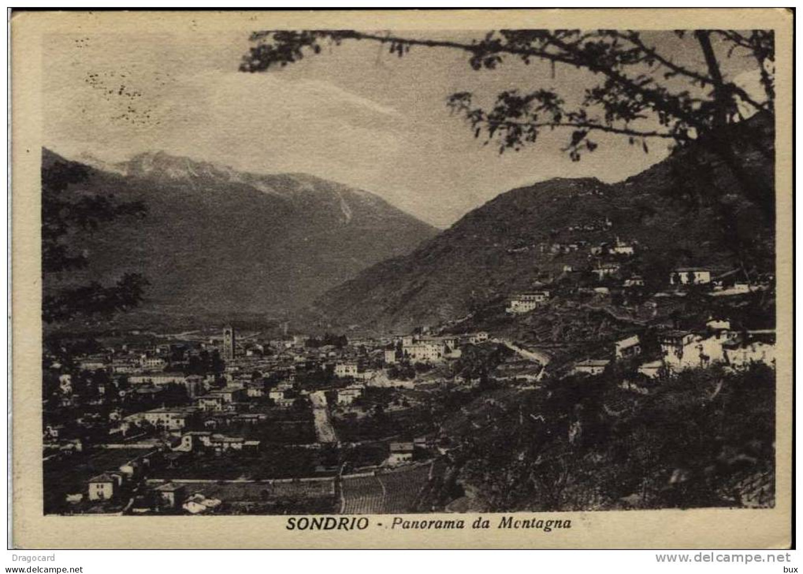 SONDRIO  LOMBARDIA   VIAGGIATA COME DA FOTO IMMAGINE OPACA - Sondrio