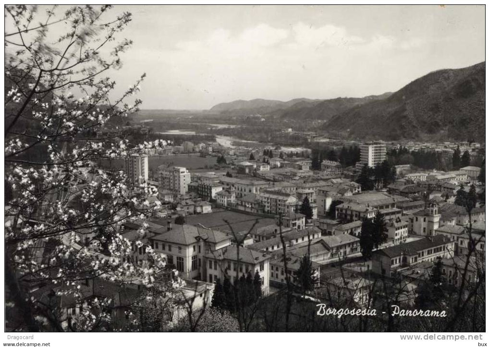 BORGOSESIA VERCELLI  PIEMONTE    VIAGGIATA COME DA FOTO - Vercelli