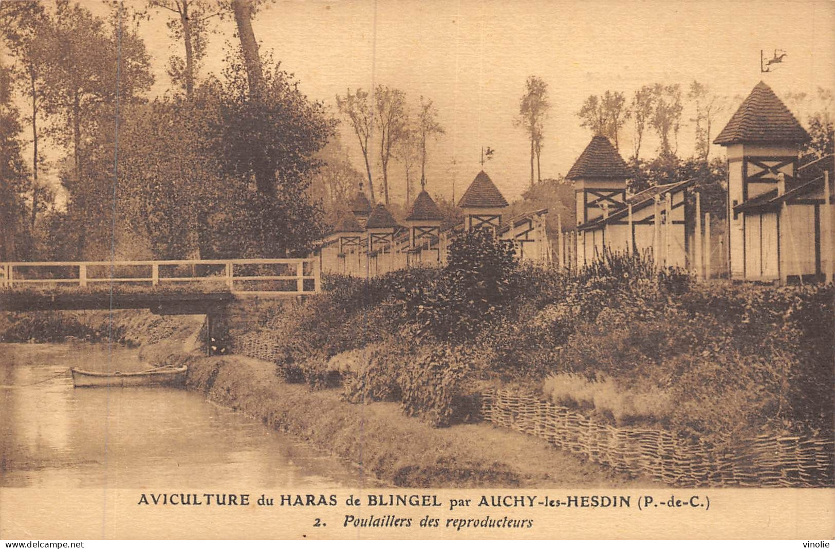 P-24-Mi-Is-1702 : BLINGEL.  PAR AUCHY-LES-HESDIN. AVICULTURE DU HARAS - Sonstige & Ohne Zuordnung