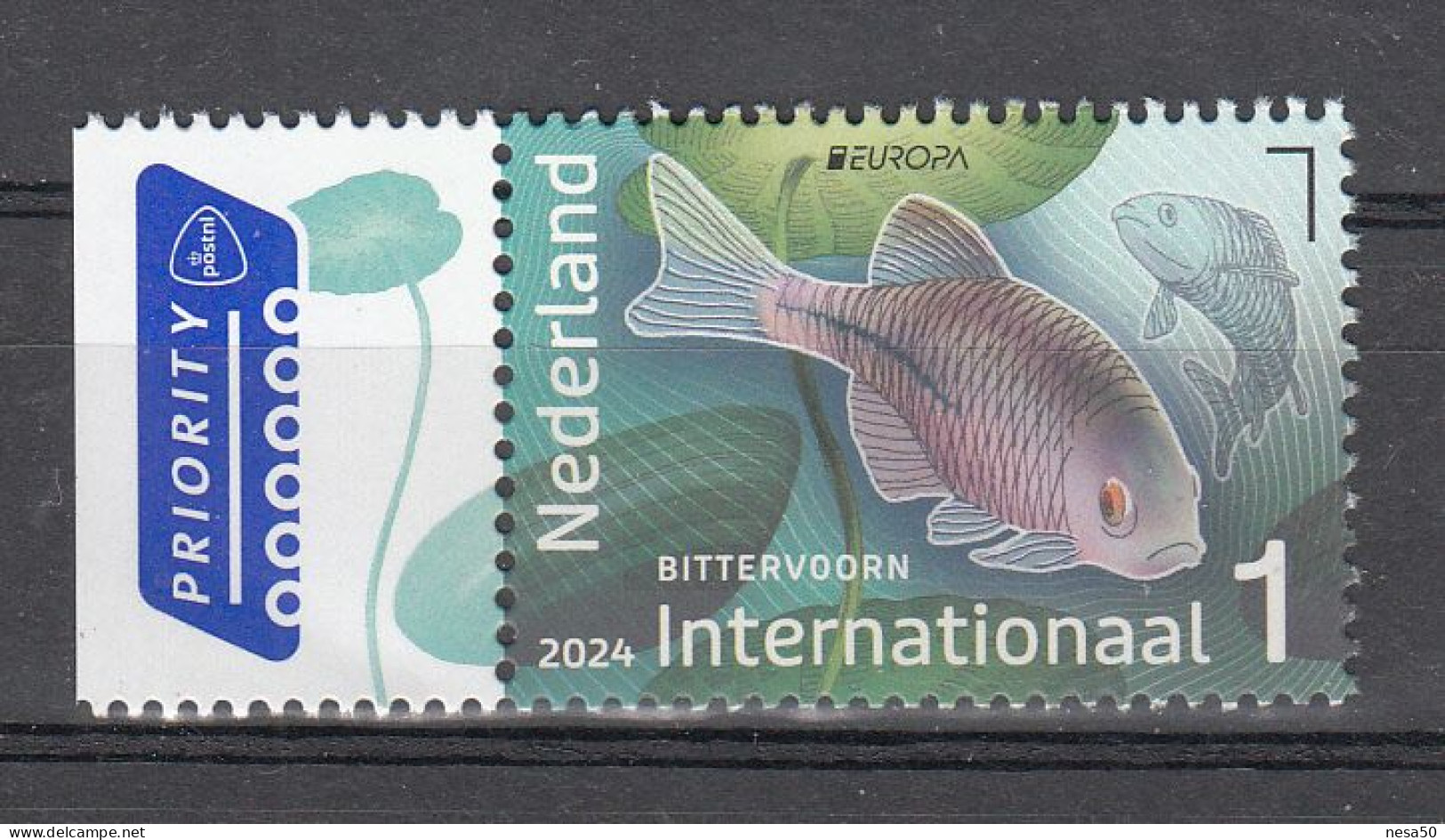 Nederland 2024 Nvph ?? Mi Nr ??, Onderwaternatuur Internationaal, Europa, Voorn + Watergentiaan, Roach + Water Gentian, - Ungebraucht