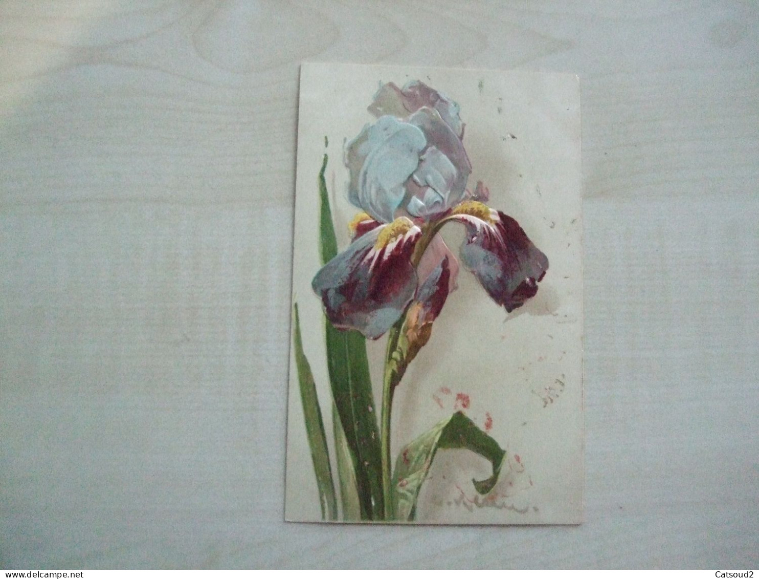 Carte Postale Ancienne En Relief CATHARINA KLEIN Iris - Klein, Catharina