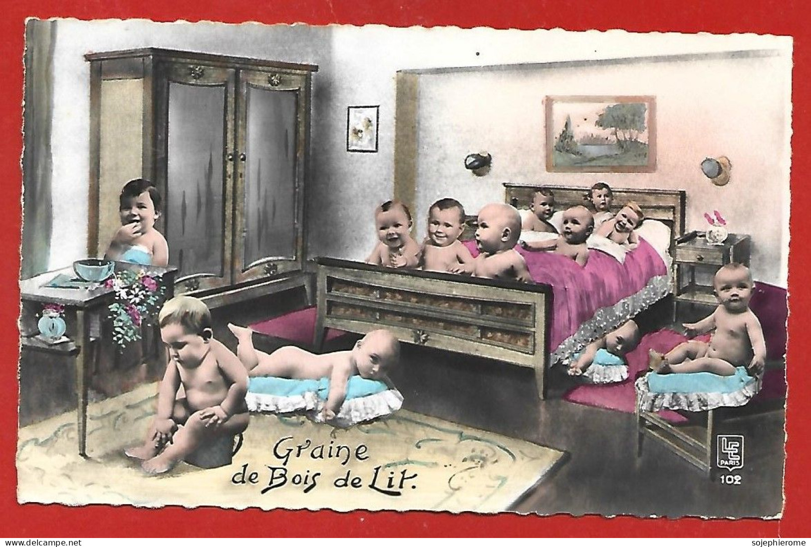 Humour "Graine De Bois De Lit" Bébés Pot De Chambre 2scans - Cartes Humoristiques