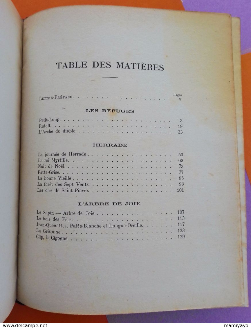 ALSACE * A L'OMBRE DE SAINTE ODILE  * H. SCHUTZENBERGER / Illustré De Gravures ,contes ... - 1901-1940