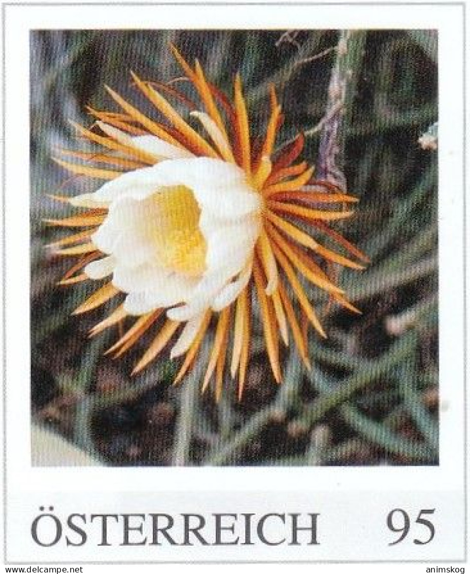 Österreich, Personalisierte Marken, Blumen Inkl. Kakteen / Austria, Personalized Stamps, Flowers Incl. Cacti - Cactus