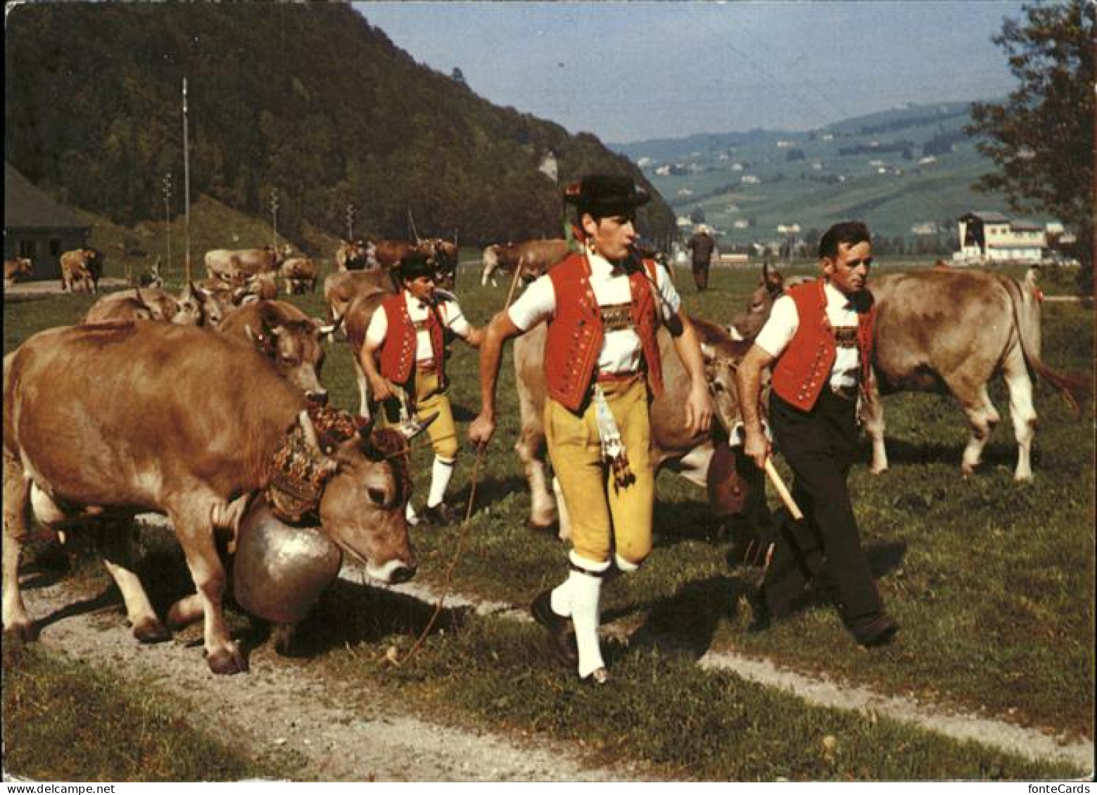 11381377 Appenzell IR Aufbruch Zum Alpabtrieb Im Kanton Appenzell Appenzell - Andere & Zonder Classificatie