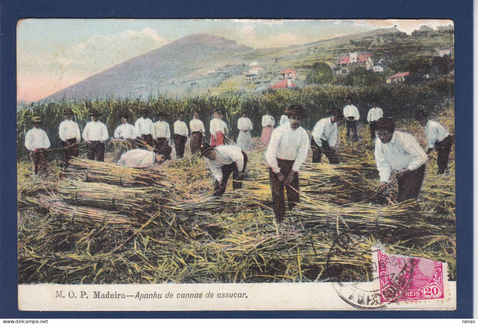 CPA Madeire Portugal > Madeira Circulée - Madeira