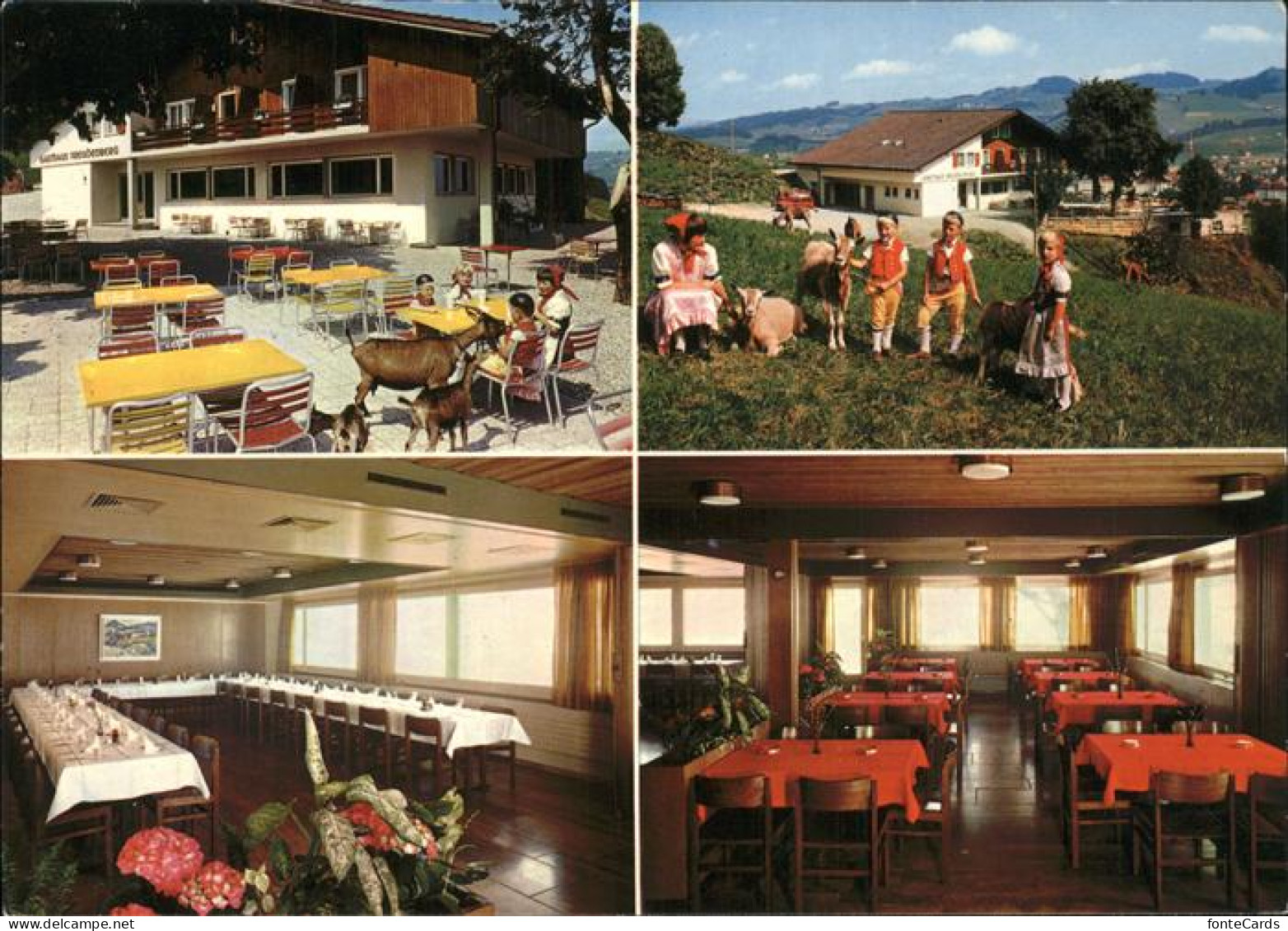 11381315 Appenzell IR Gasthaus Freudenberg Details Appenzell - Other & Unclassified