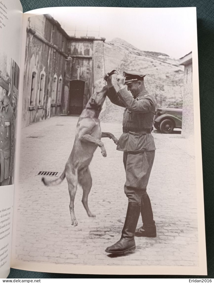 La Belgique sous l'oeil nazi : L'Occupation vue par la Propaganda Abteilung (1940 - 1943) : Marc Welsch : GRAND FORMAT