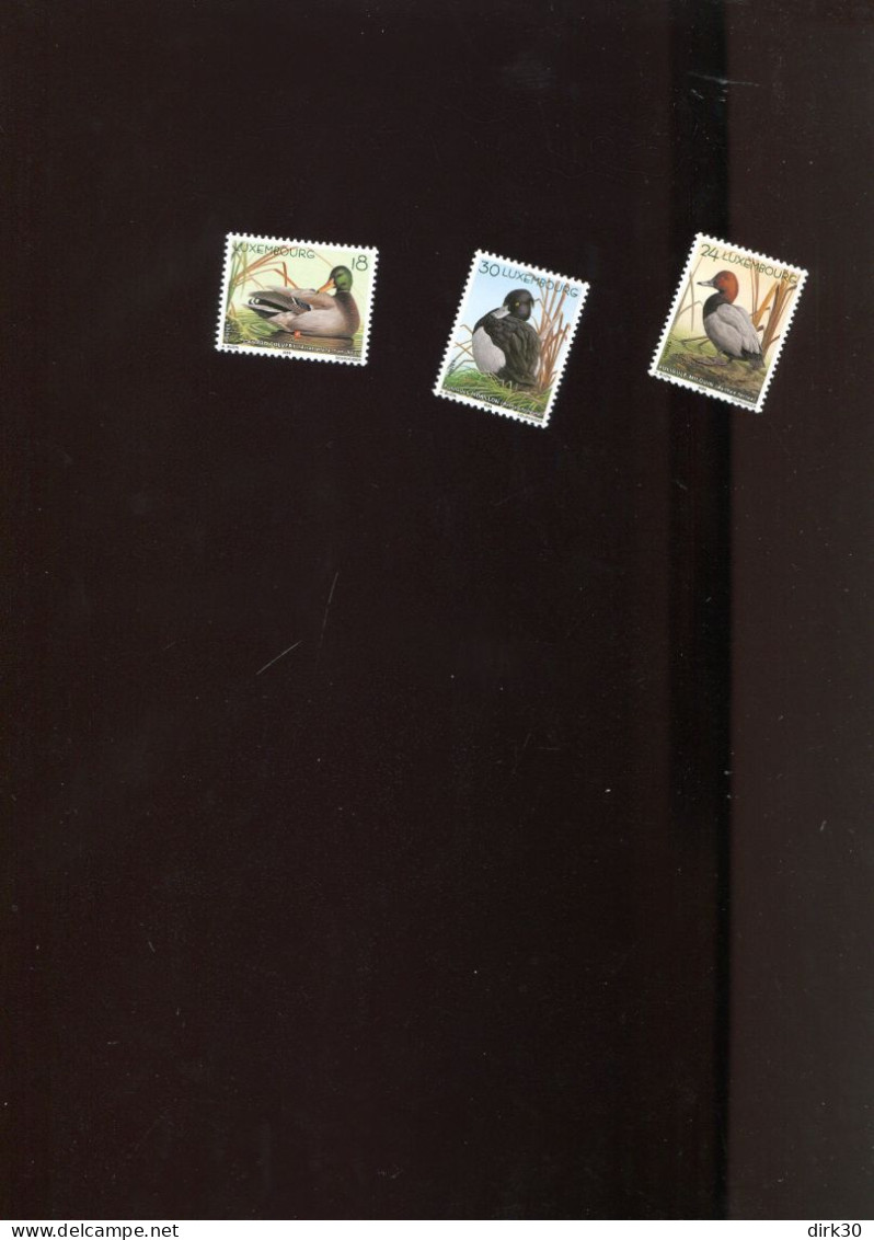 Luxembourg 2000 Andre Buzin  1503/05 MNH Birds Ducks - Nuevos