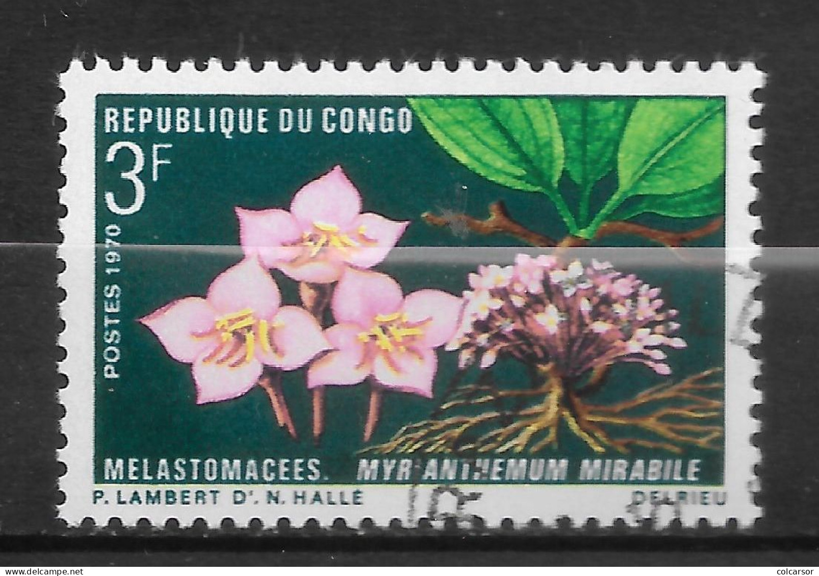 RÉPUBLIQUE DU CONGO  "N°  270 - Usati