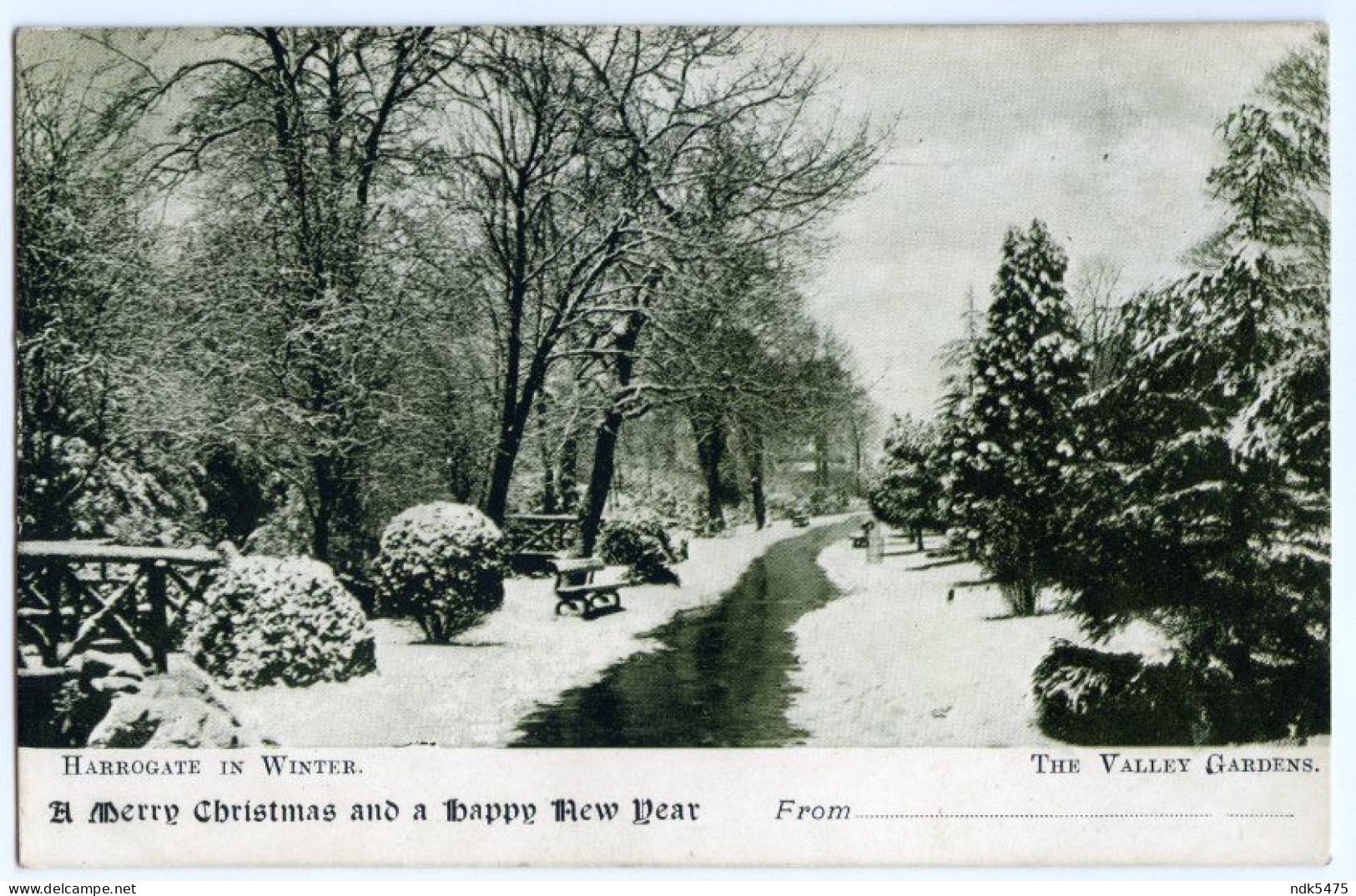 HARROGATE IN WINTER : THE VALLEY GARDENS - Harrogate