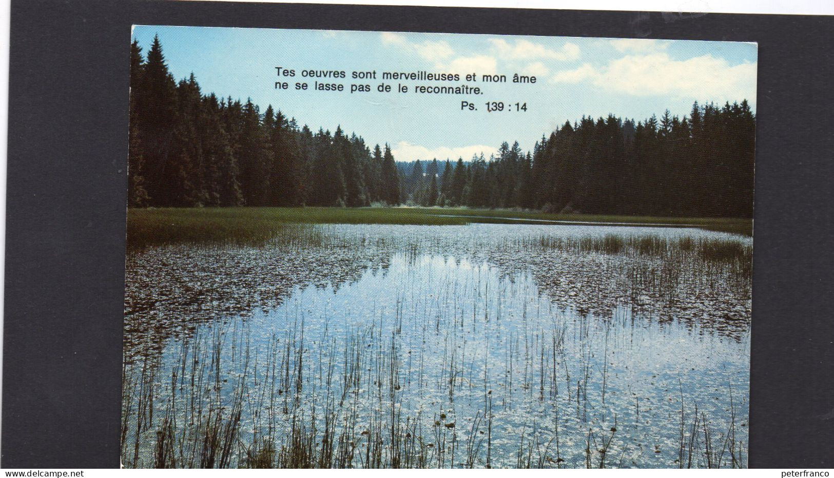 Francia - Etang Des Royes - - Les Franche Montagnes - Autres & Non Classés