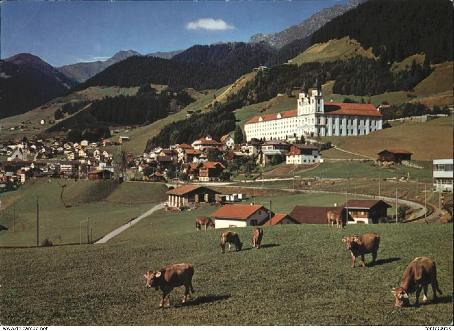 11380969 Disentis GR Muster Ortsansicht Kuehe Disentis - Sonstige & Ohne Zuordnung