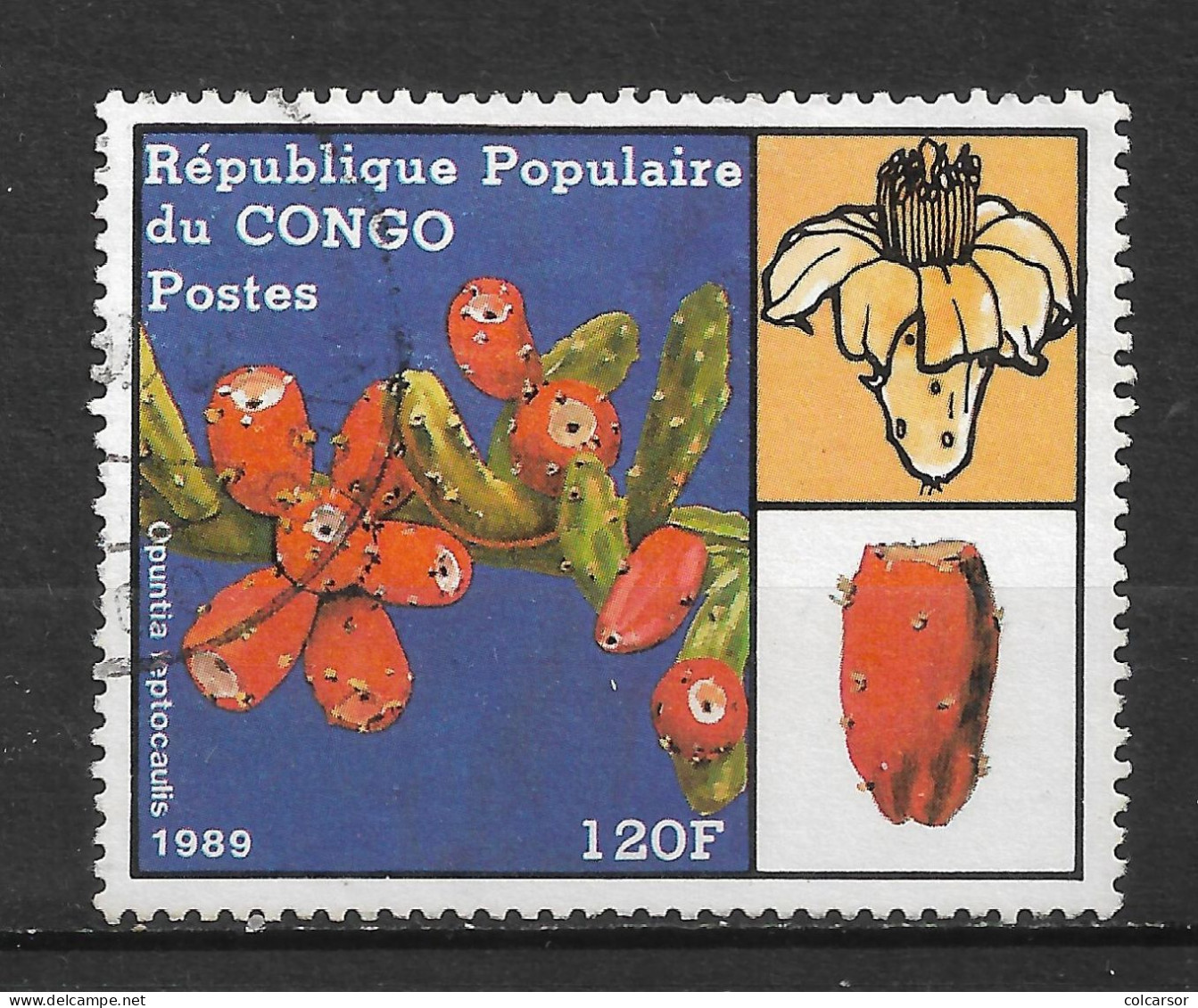 RÉPUBLIQUE DU CONGO   ZAÏRE  "N°   859 - Used Stamps