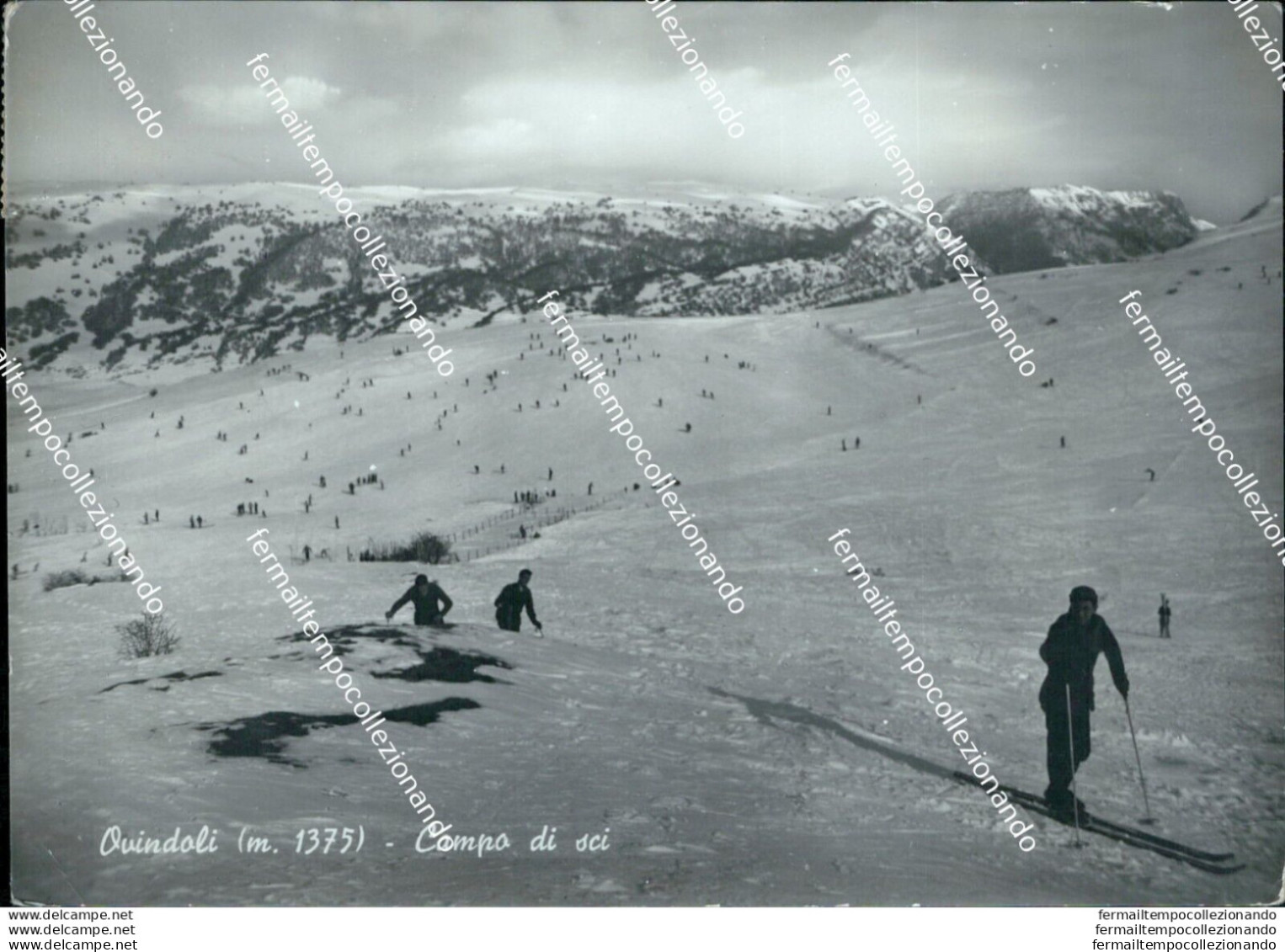 S704 Cartolina Ovindoli Campo Di Sci Provincia Di L'aquila - L'Aquila