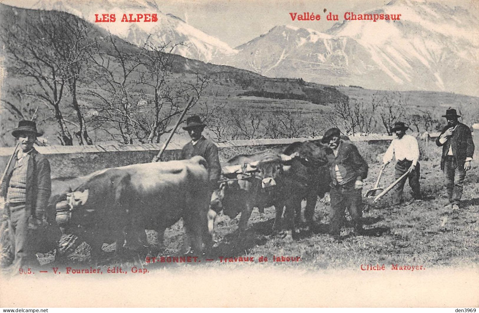 SAINT-BONNET-en-CHAMPSAUR (Hautes-Alpes) - Travaux De Labour - Attelage De Boeufs Tirant La Charrue - Agriculture - Other & Unclassified