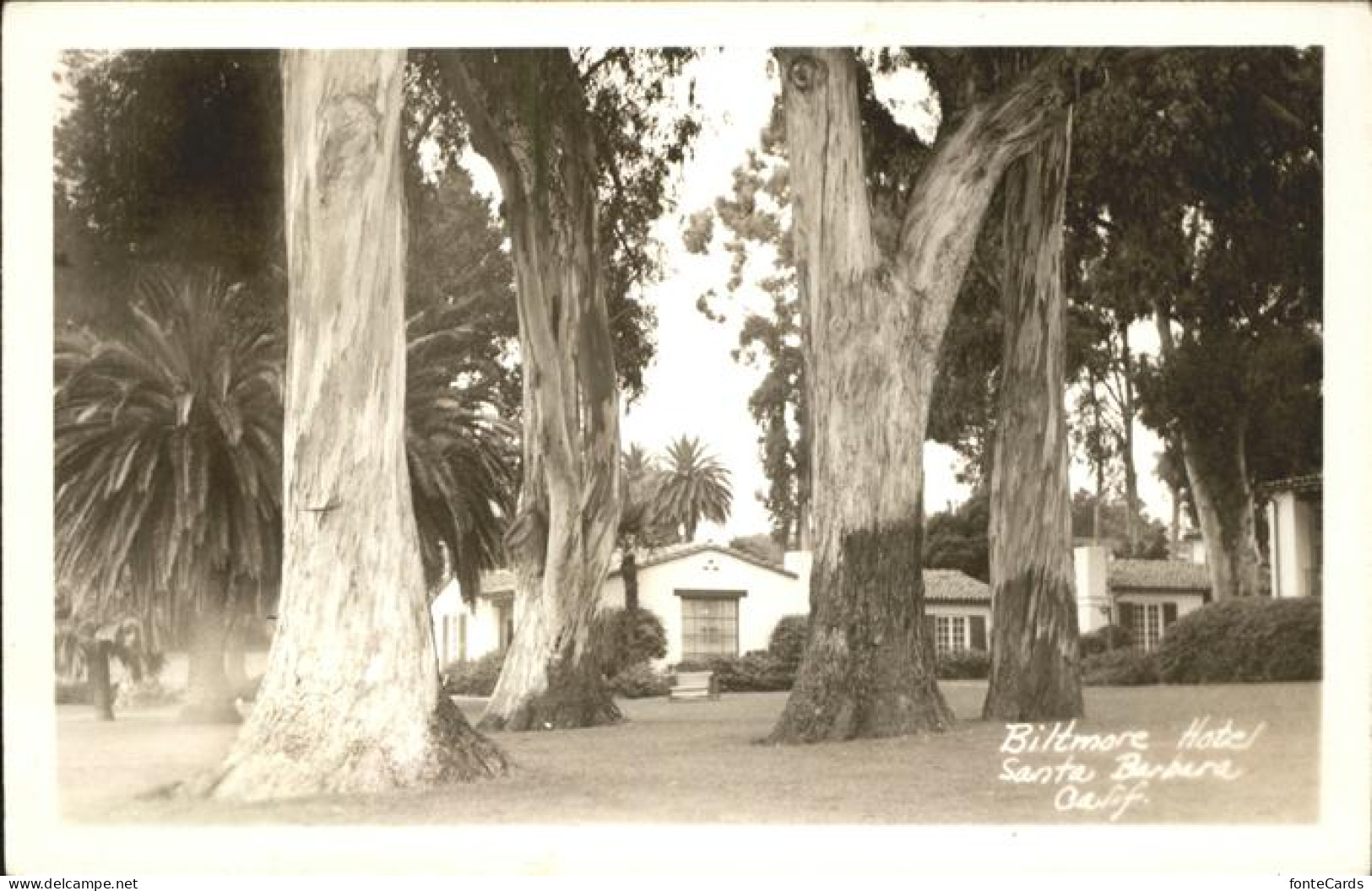 11358659 Santa_Barbara_California Biltmore Hotel - Sonstige & Ohne Zuordnung