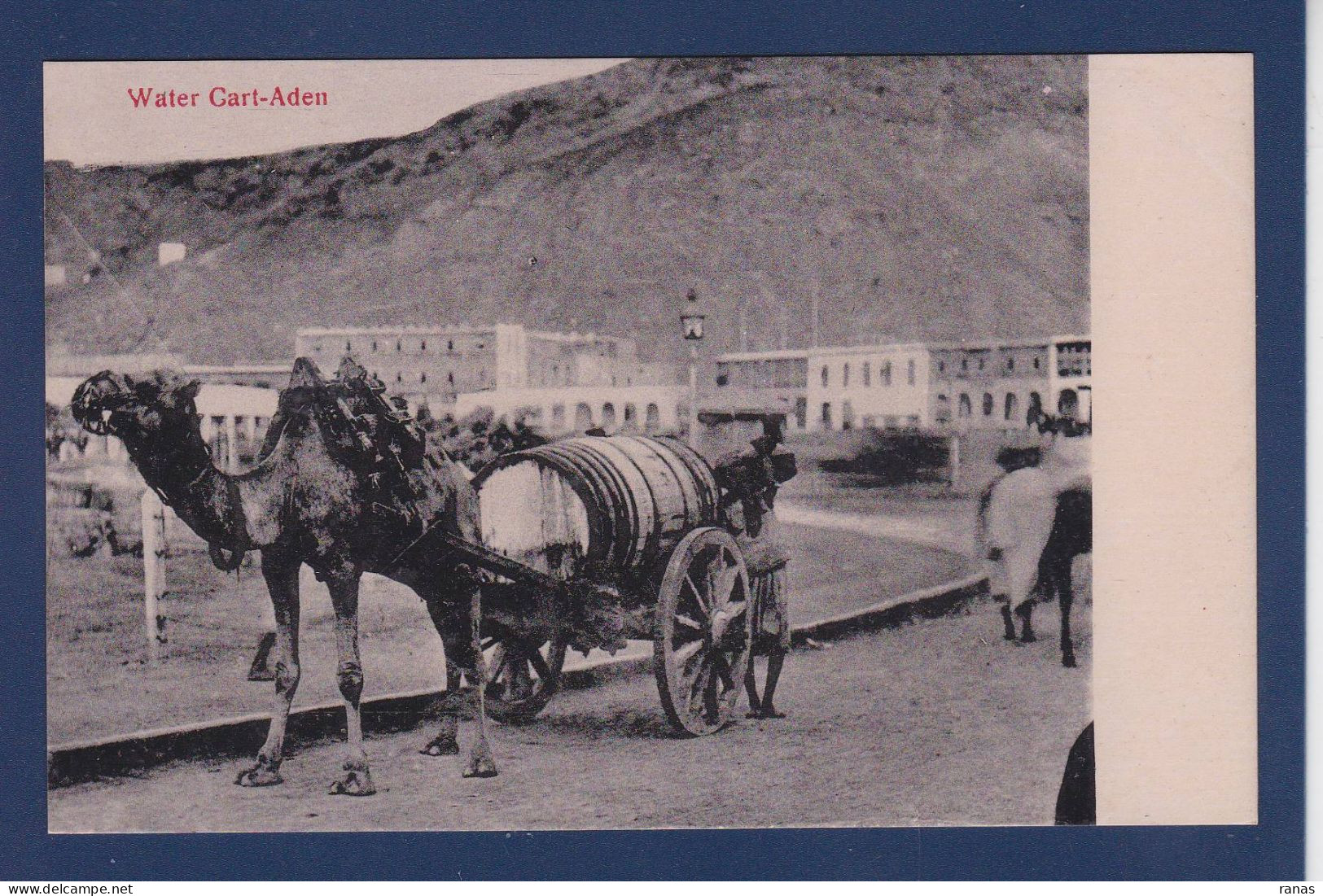 CPA Chameau Camel Aden Yemen Non Circulé éditeur Benghiat Turquie Shop - Other & Unclassified