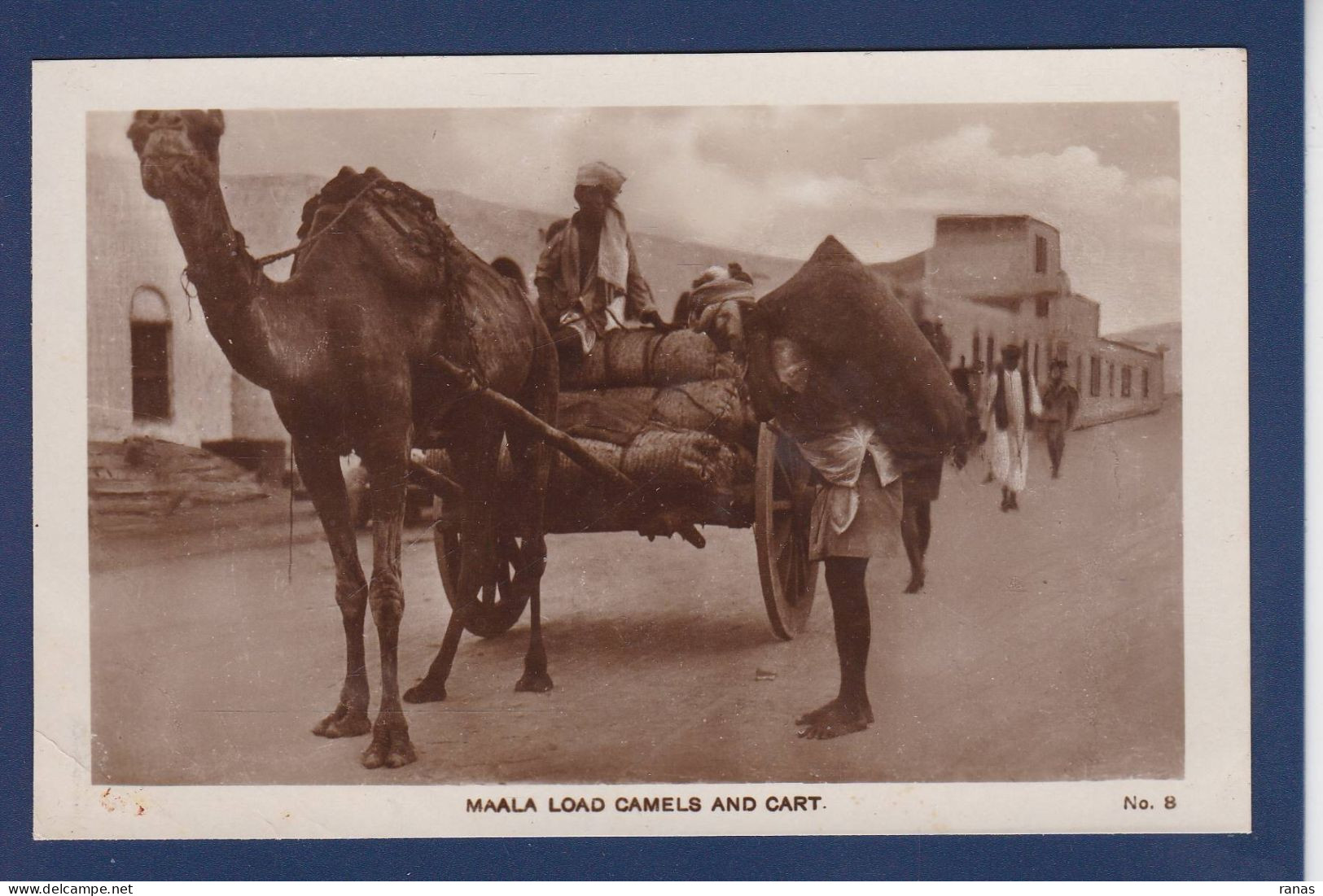 CPA Chameau Camel Aden Yemen Non Circulé - Altri & Non Classificati