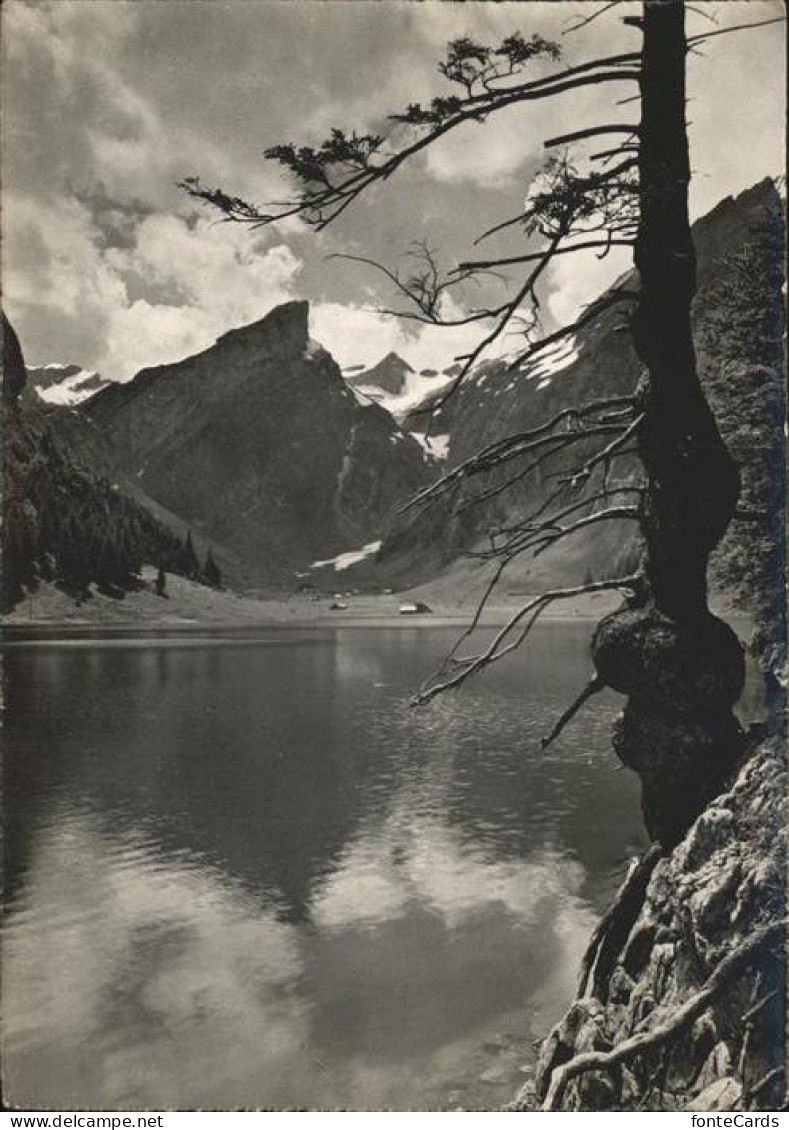 11357964 Seealpsee Appenzell Rossmahd Saentis Schwende - Sonstige & Ohne Zuordnung