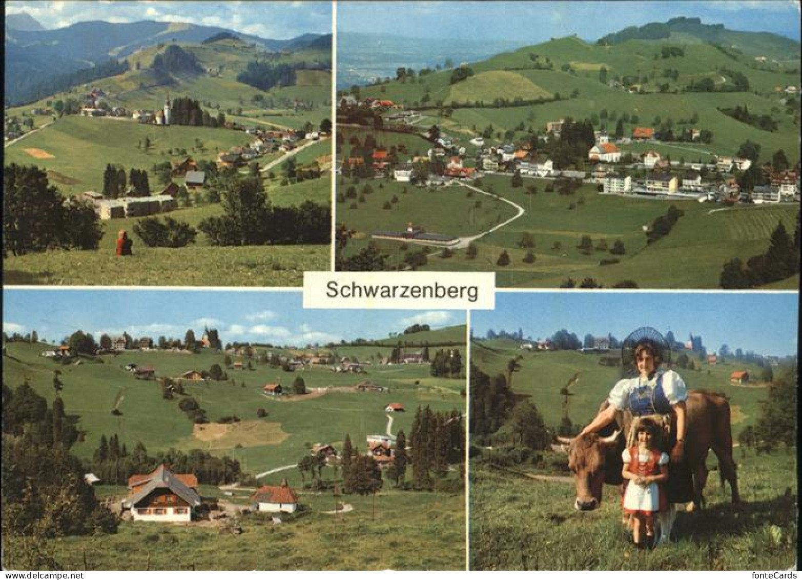 11357933 Schwarzenberg Brienz Tracht Kuh Kurort Schwarzenberg Brienz - Other & Unclassified