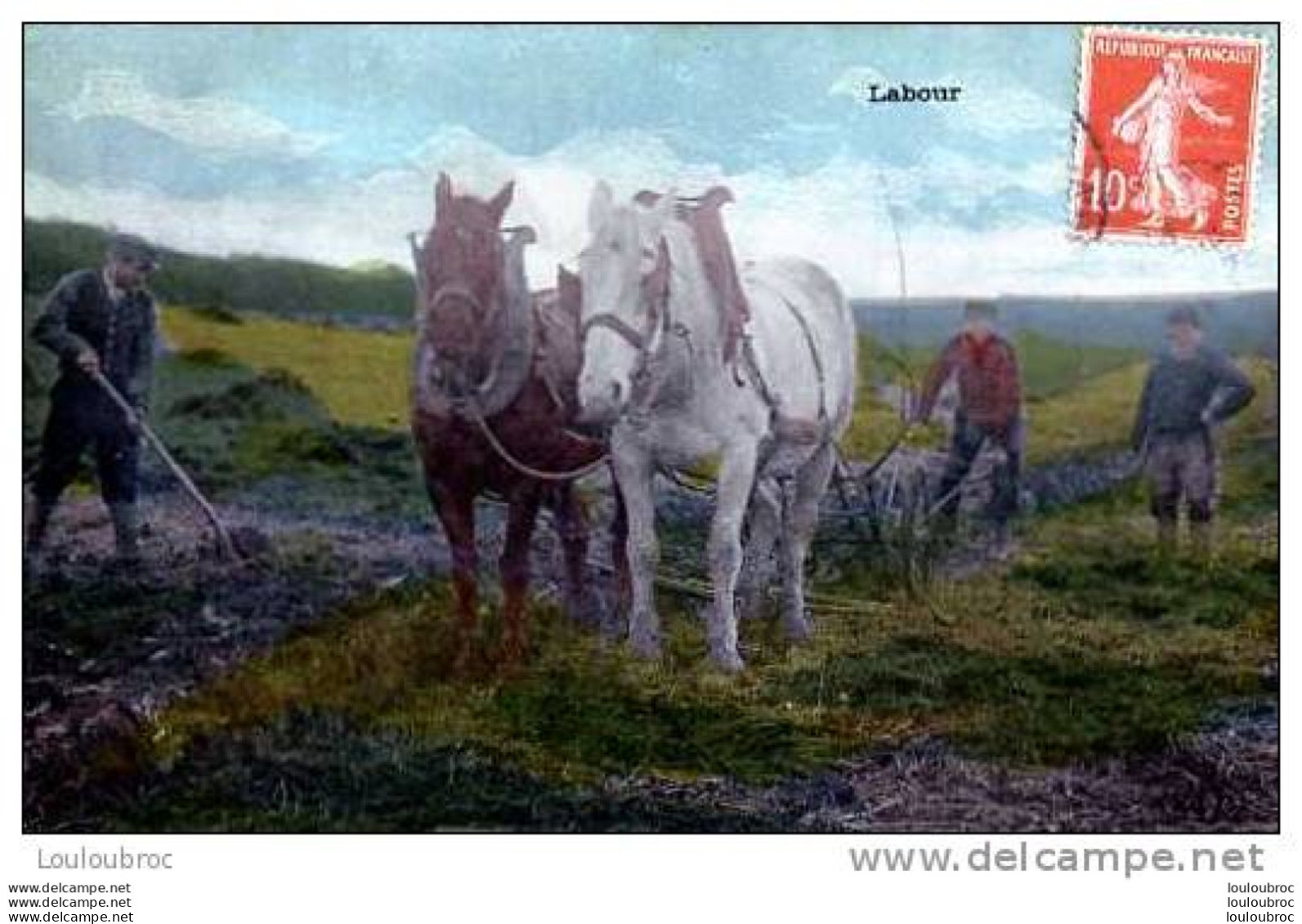 LABOUR CHEVAUX ET CHARRUE - Cultures