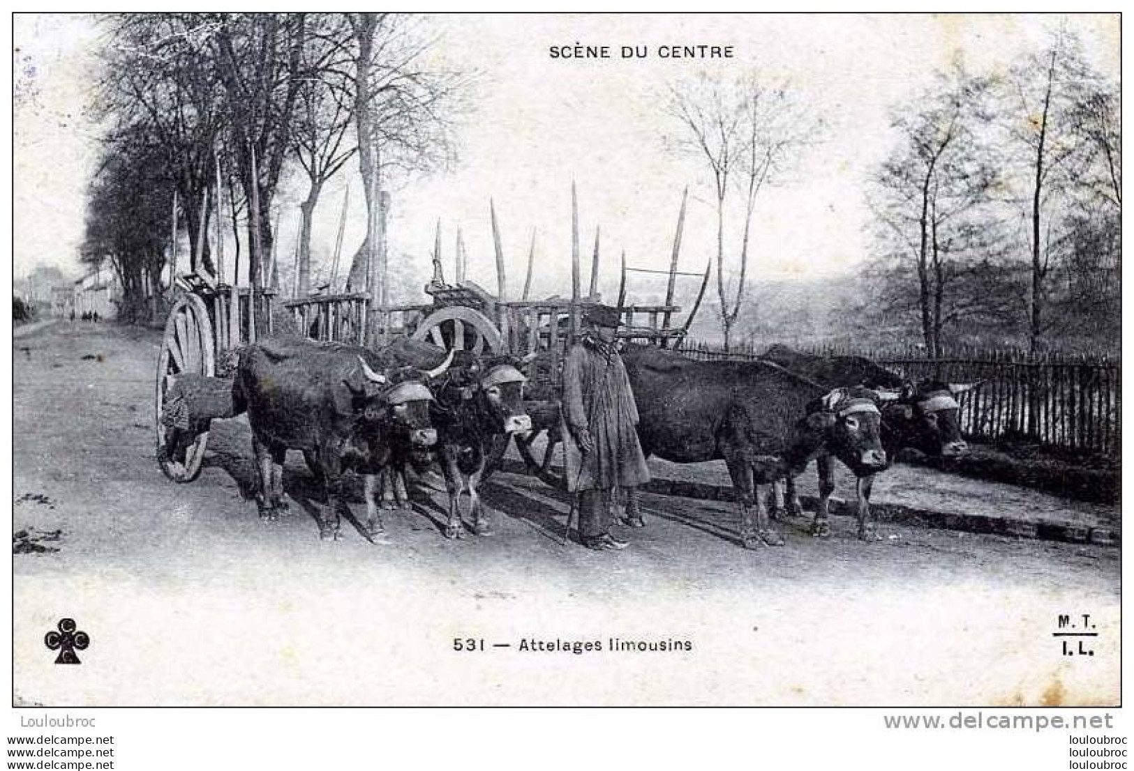 87 SCENE DU CENTRE ATTELAGES LIMOUSINS - Equipaggiamenti