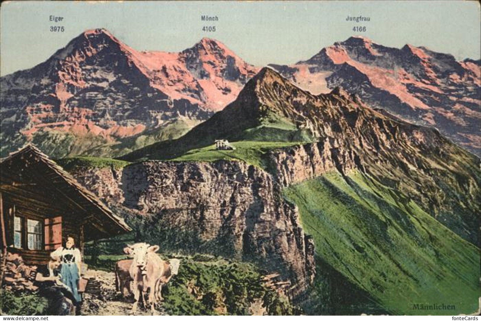 11357790 Eiger Grindelwald Moench Jungfrau Maennlichen Kuh Eiger Grindelwald - Andere & Zonder Classificatie